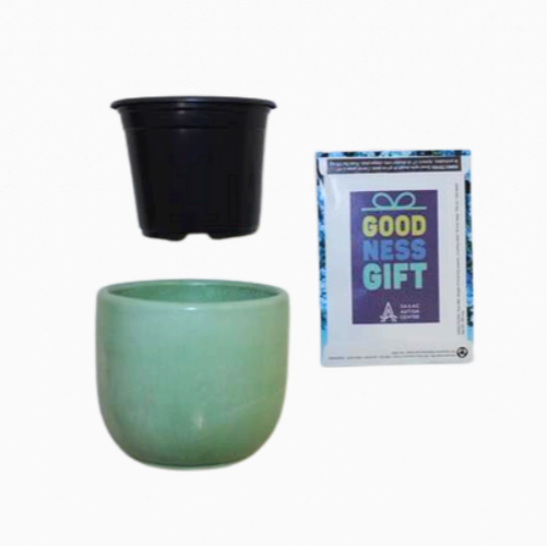 DIY Garden Kit
