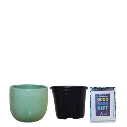 DIY Garden Kit